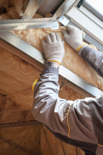 Insulation Replacement Services in Hector, MN