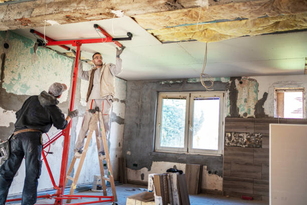 Best Insulation Replacement Services  in Hector, MN